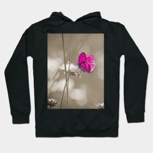 Pink butterfly Hoodie